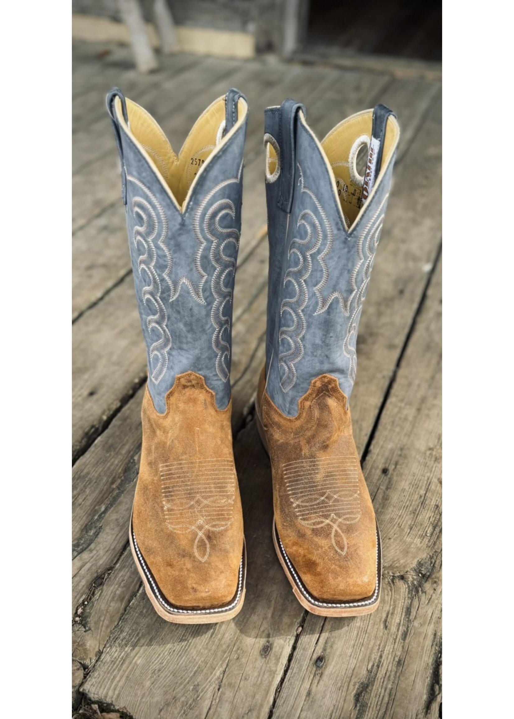 Olathe Olathe No.257950 Wheatbuck Waxy Kudu