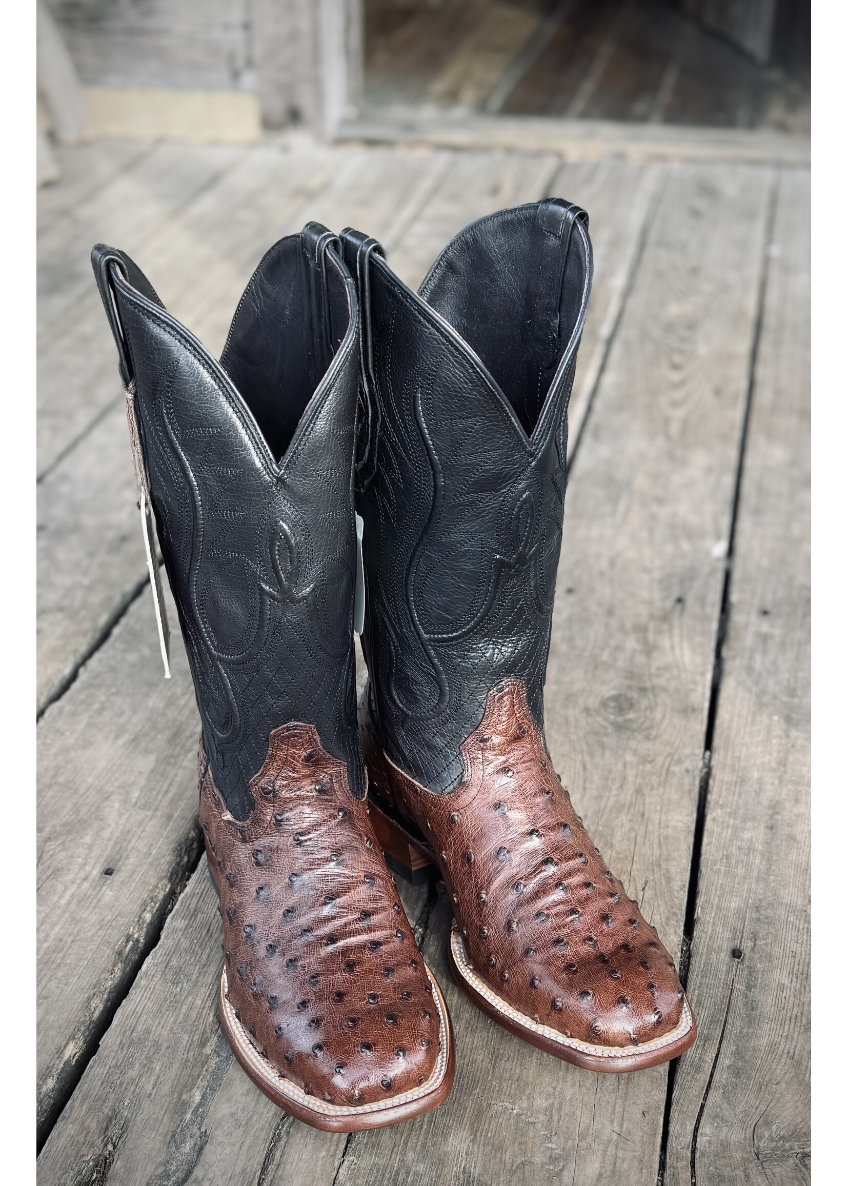 Stetson John B Stetson No. 12-020-1852-0500 Ozzy Nicotine Ostrich Western Boot