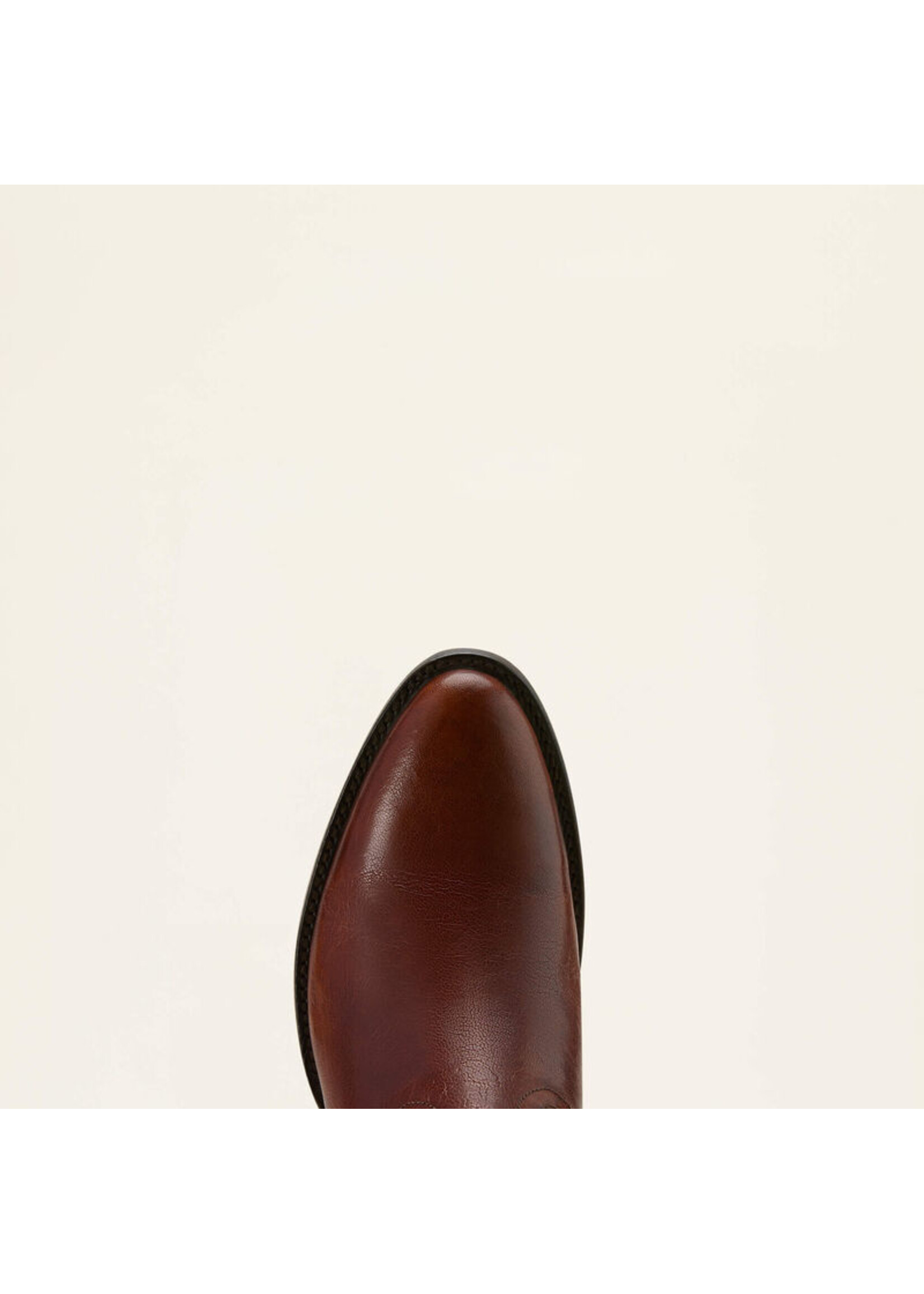 Ariat Ariat Mens Downtown Barrett Zipper Boot