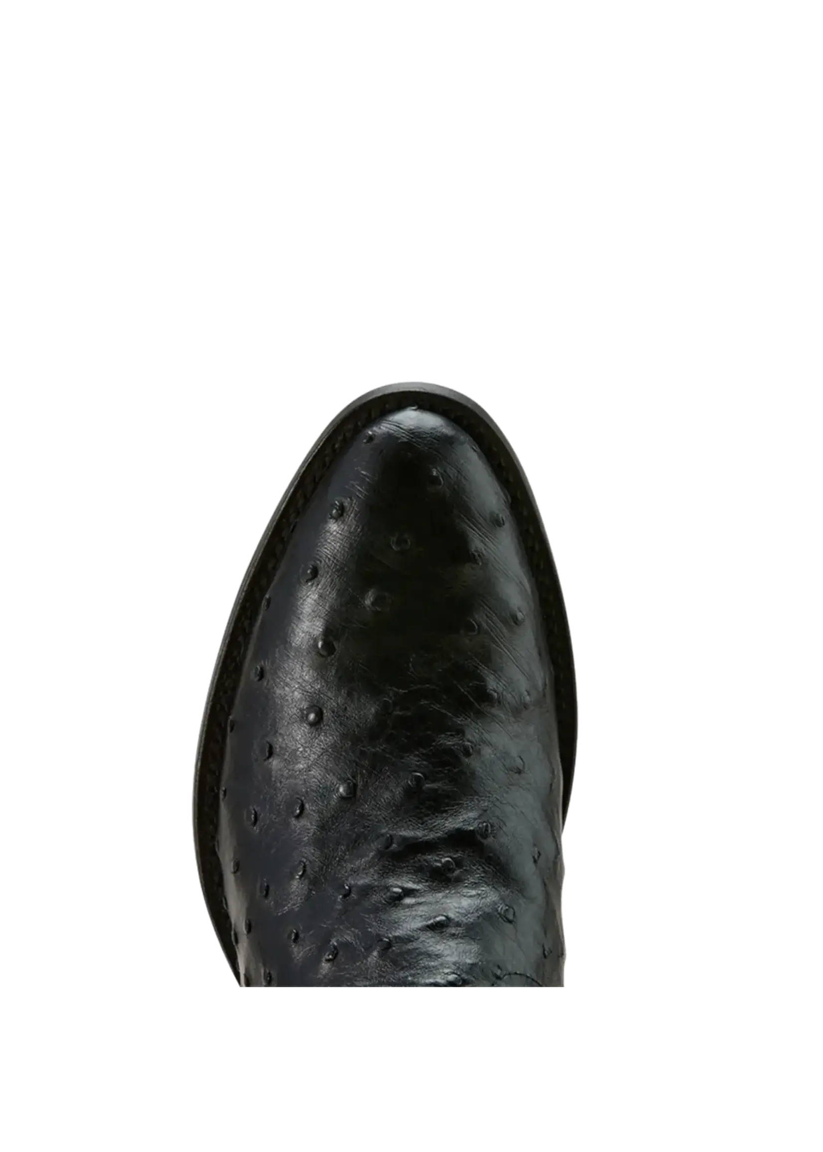 Ariat Ariat Downtown Vesper Full Quill Ostrich Boot