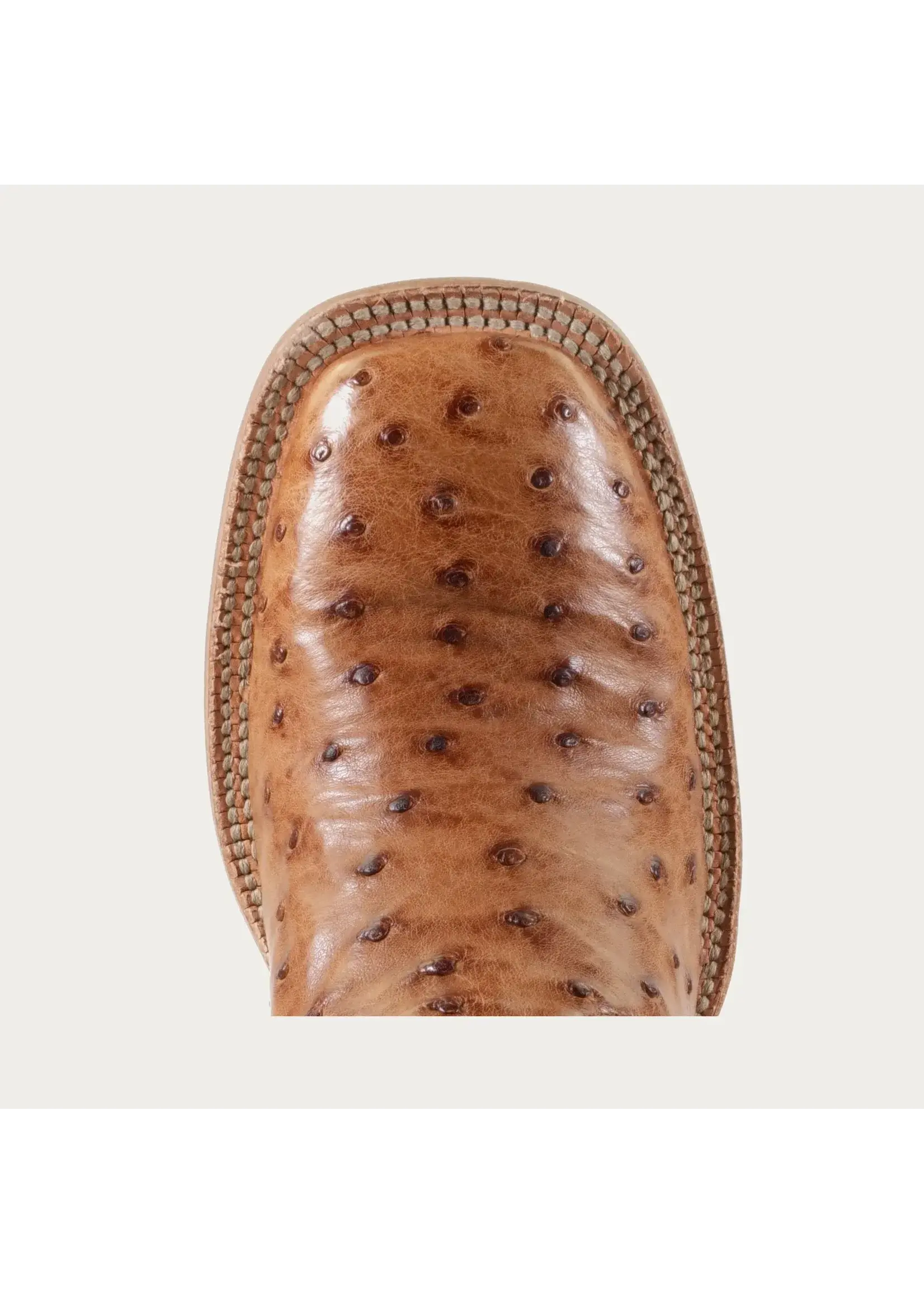 Hyer Hyer Womens Harper Brandy FQ Ostrich HW41008