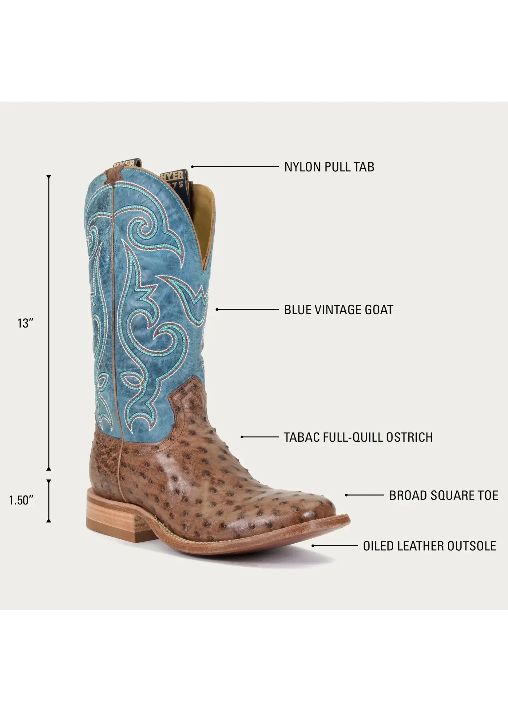 Hyer Hyer Jetmore Tabac FQ Ostrich HM11008