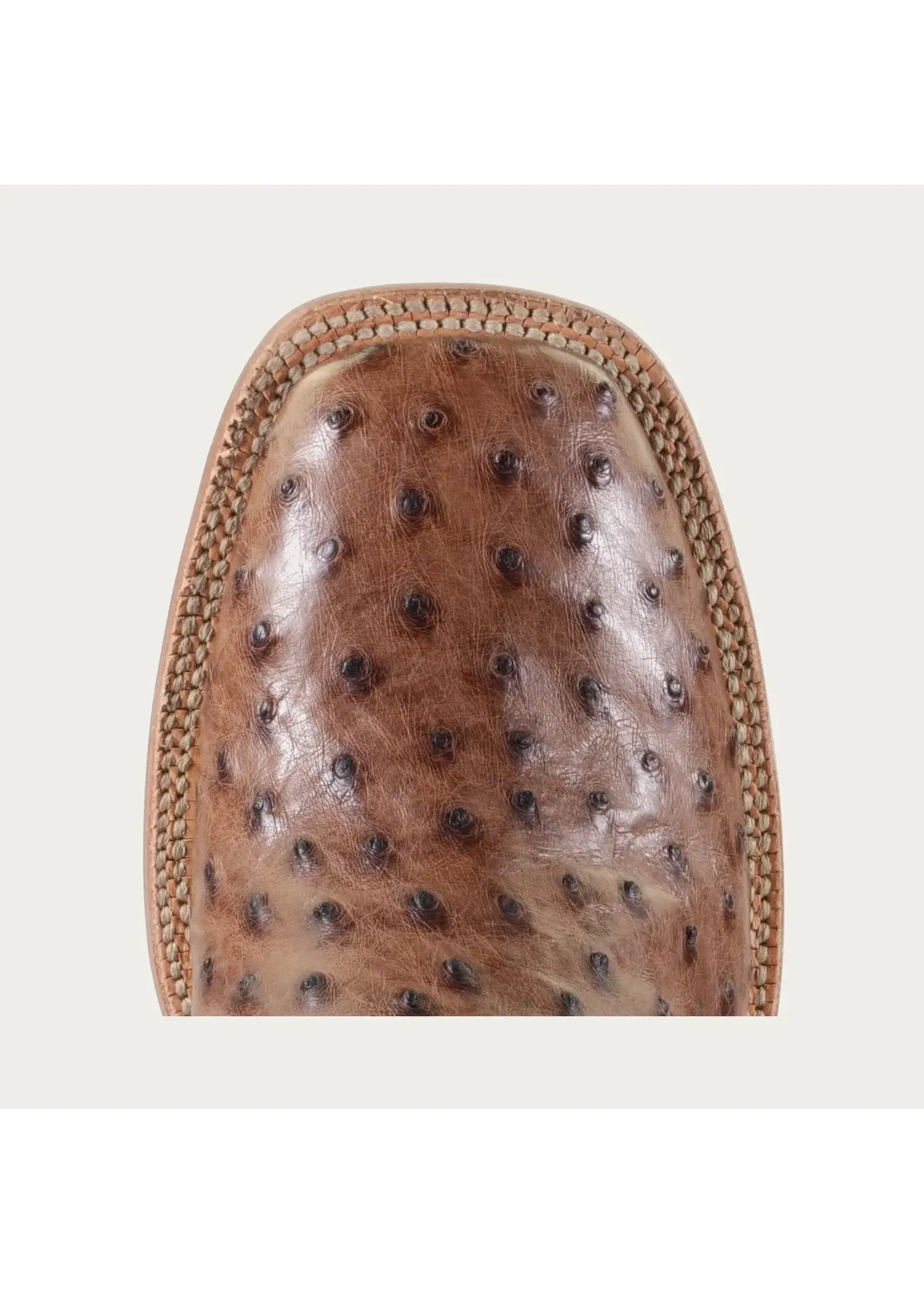 Hyer Hyer Jetmore Tabac FQ Ostrich HM11008