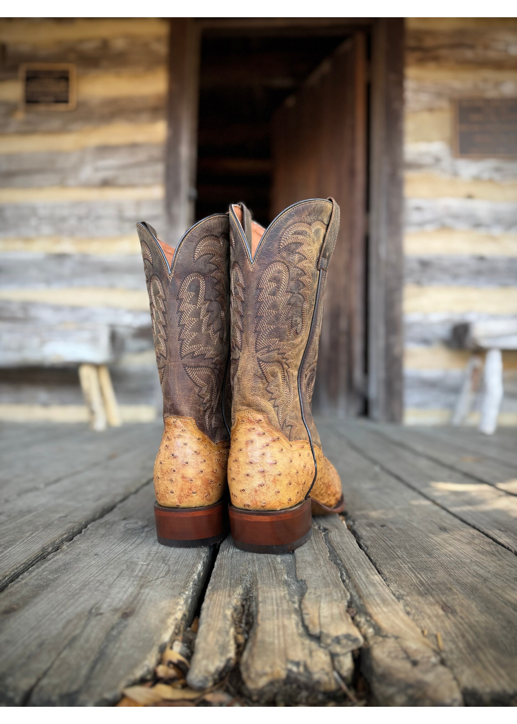 Dan Post Dan Post No. DP7604 Mens MarcoFull Quill