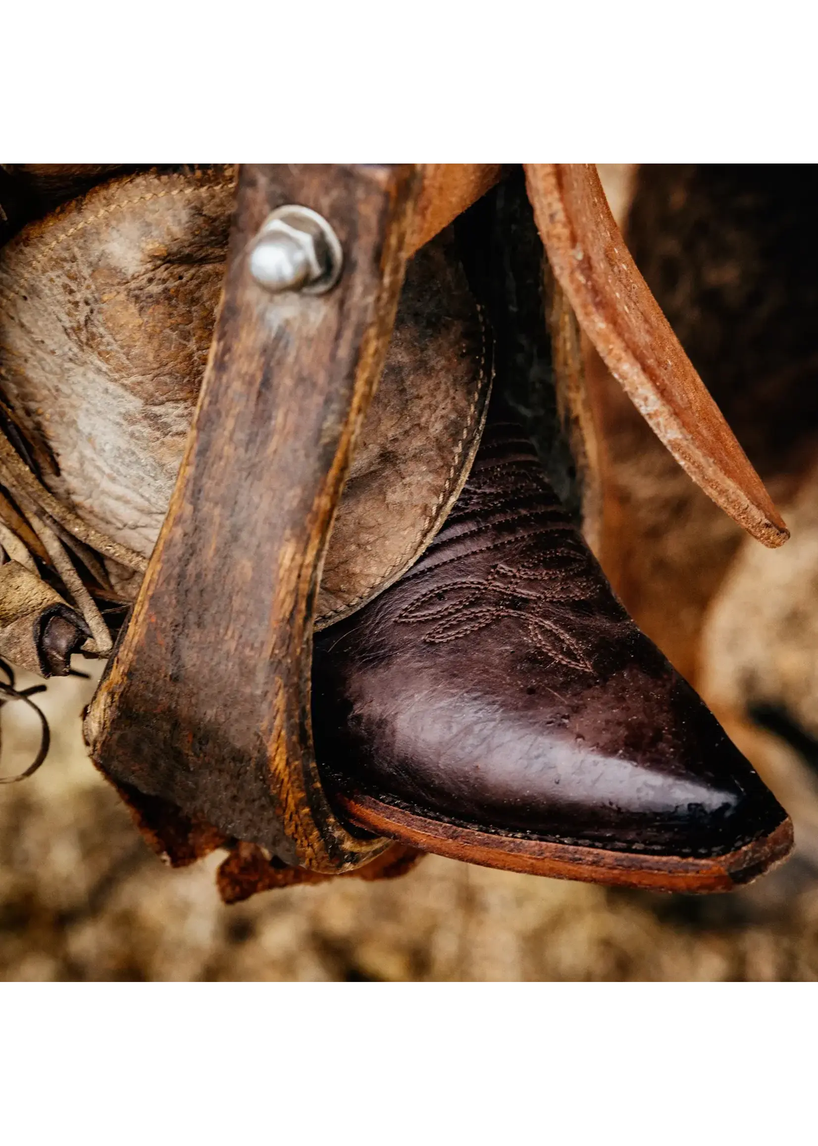 Stetson STETSON No. 12-021-6105-0627 Casey Brown Women's Boot