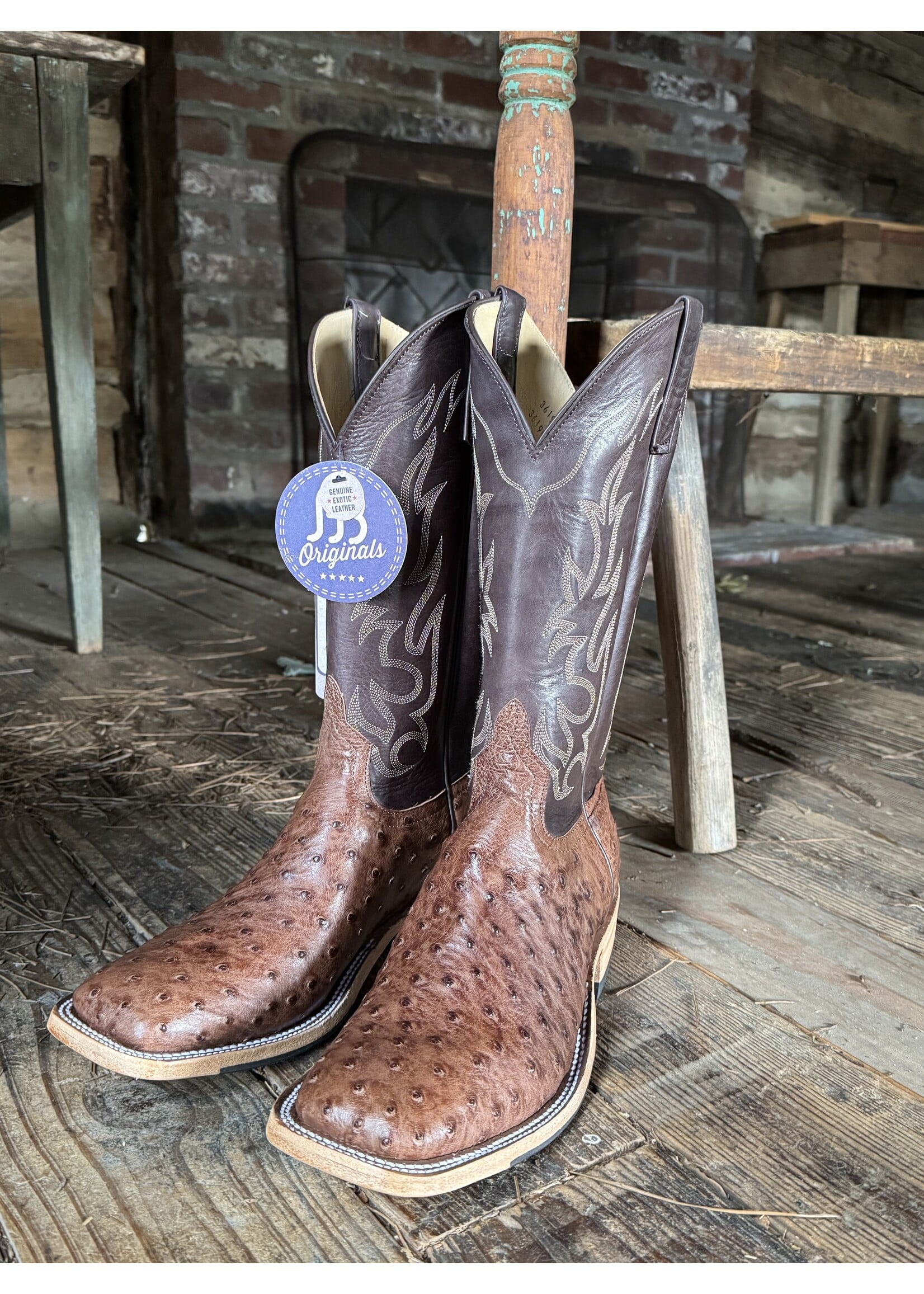 Anderson Bean Anderson Bean No. 361603  Ostrich
