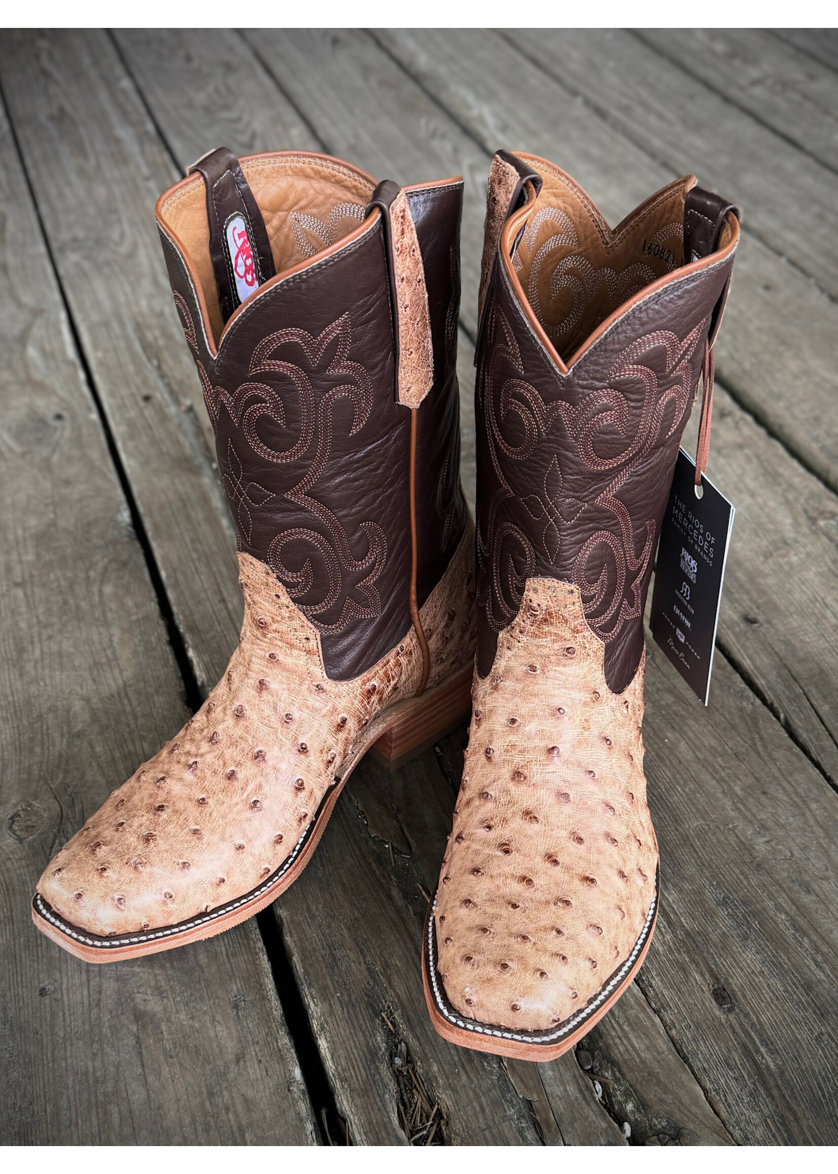 Rios of Mercedes Rios of Mercedes No. 160821 Brandy Brusciato Full Quill Ostrich