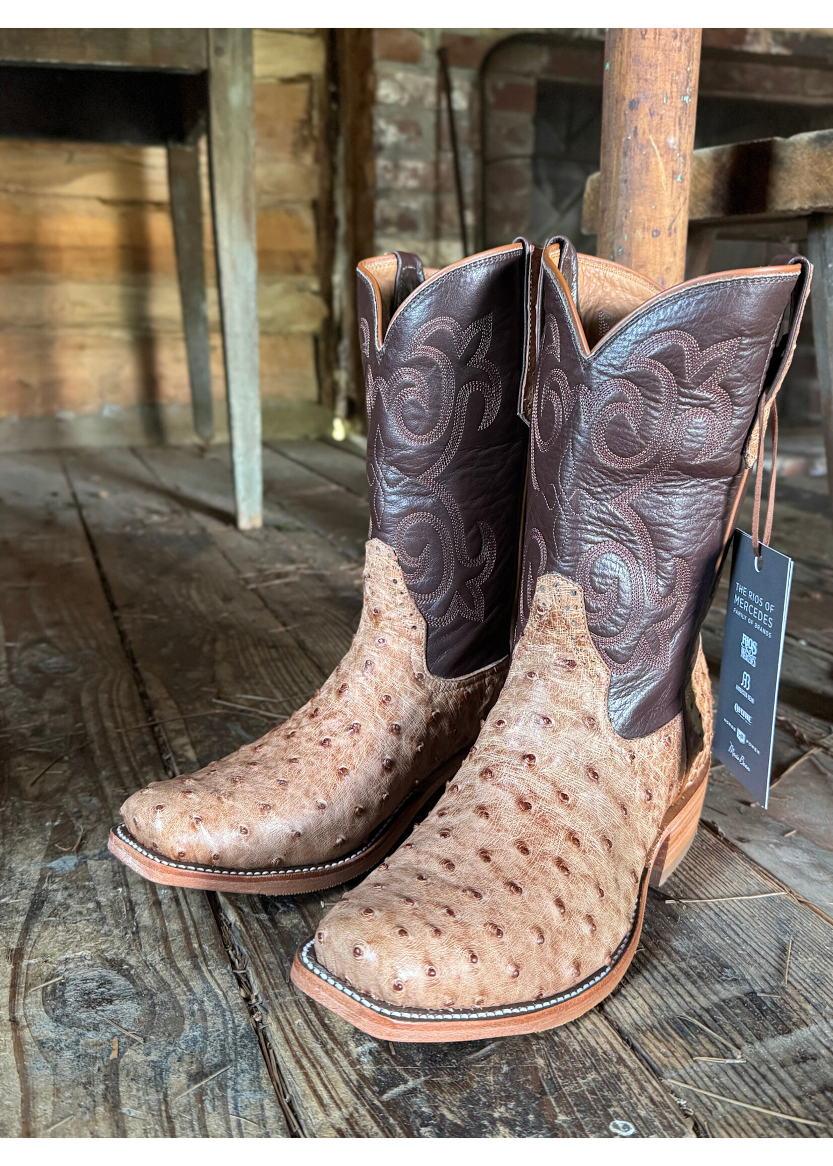 Rios of Mercedes Rios of Mercedes No. 160821 Brandy Brusciato Full Quill Ostrich