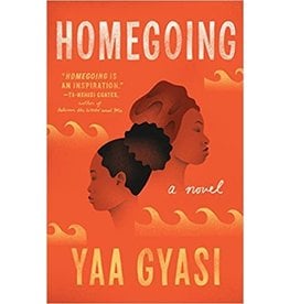 Fiction Homegoing