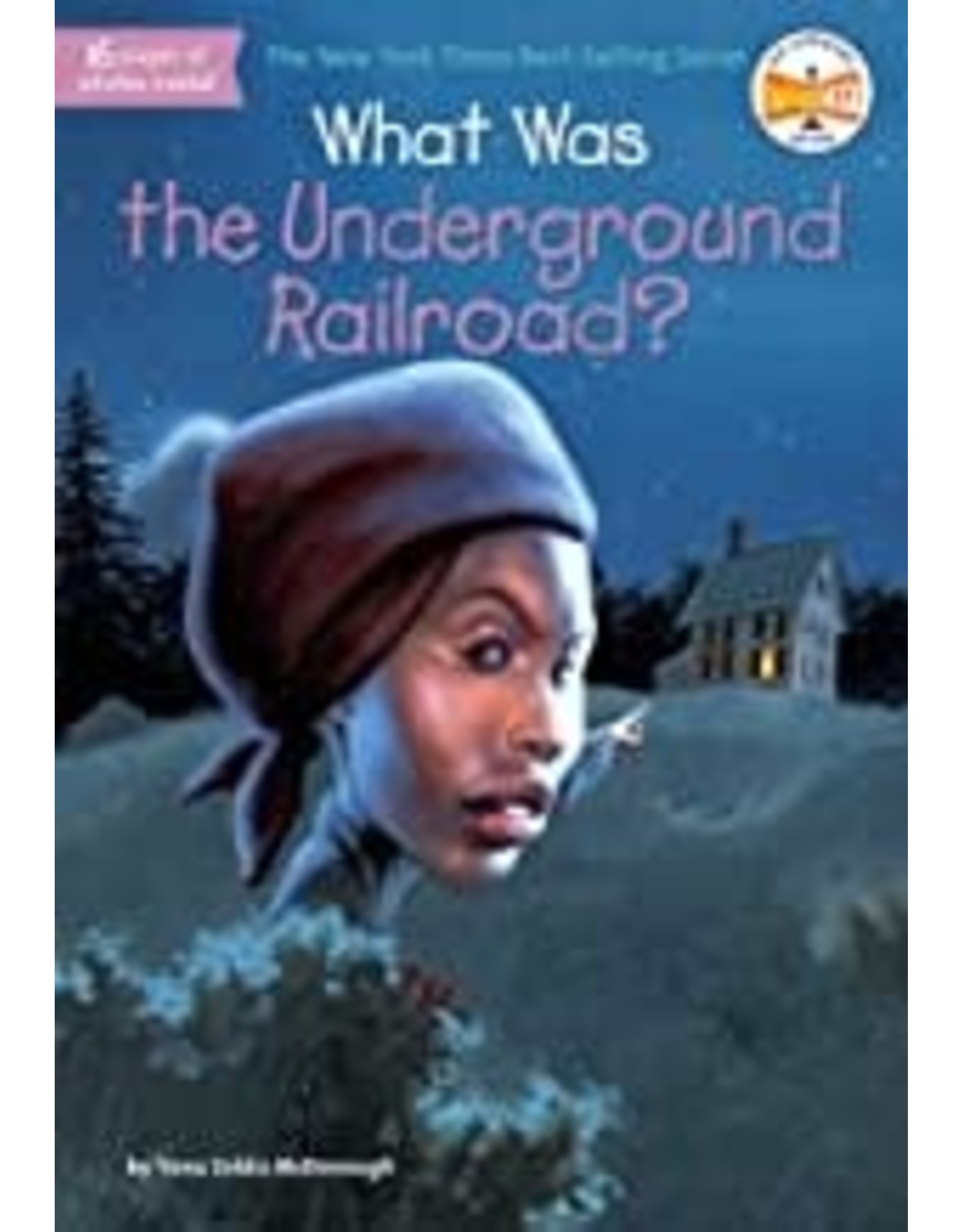 Kids: Picture Books What Was Underground Railroad?