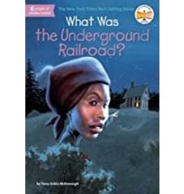 Kids: Picture Books What Was Underground Railroad?