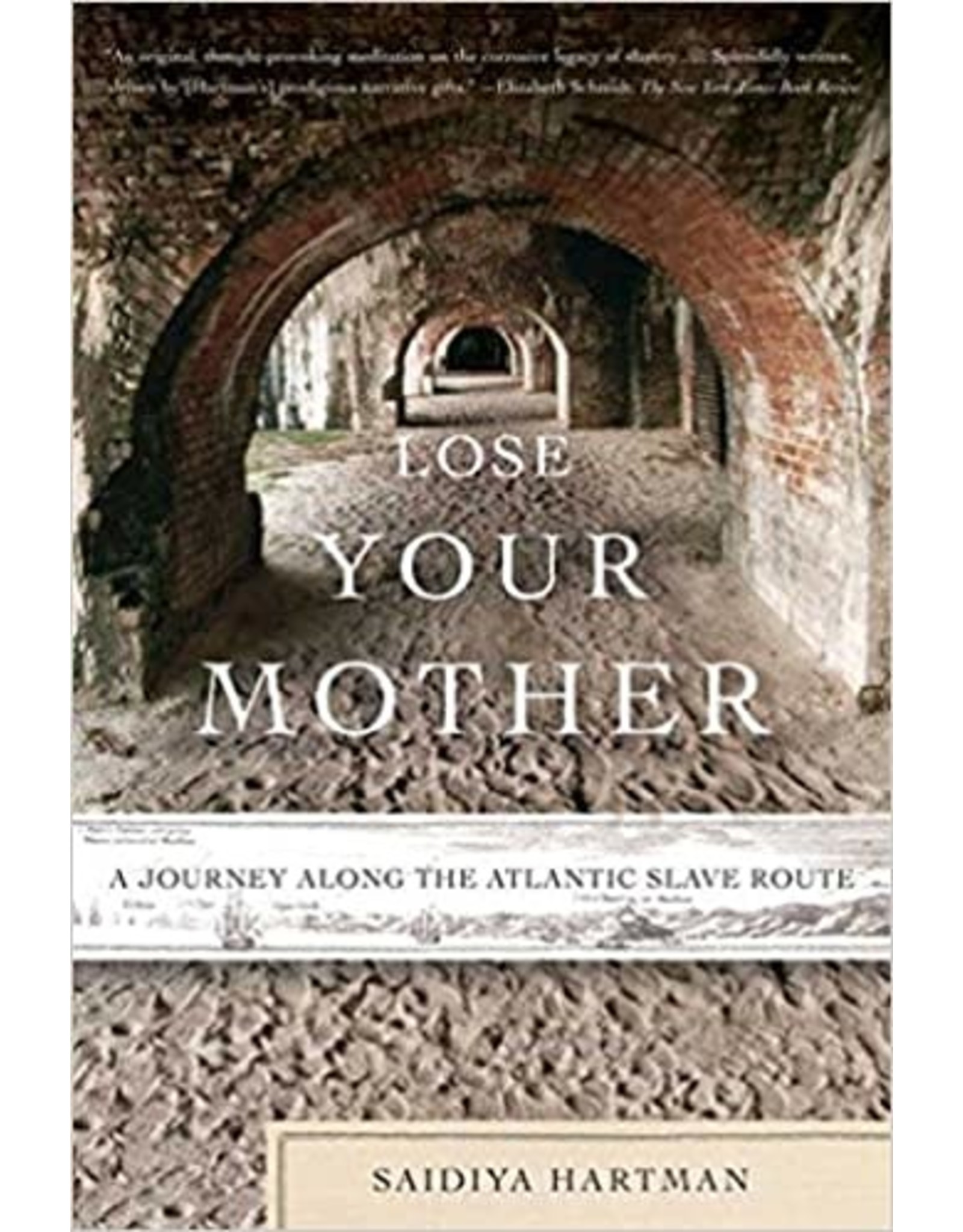 Non-Fiction: Memoirs & Essays Lose Your Mother