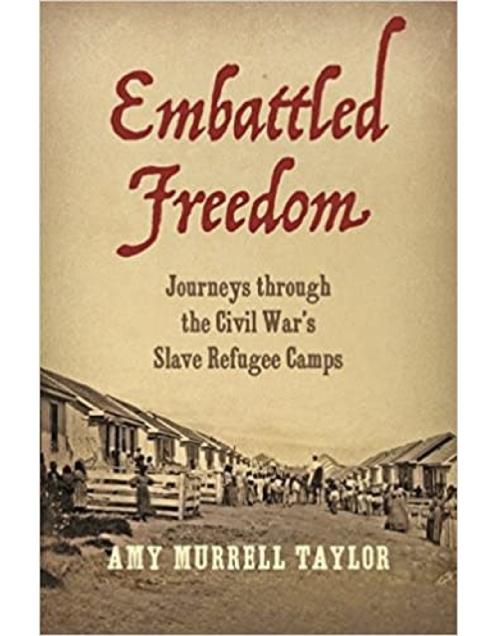 Non-Fiction: Civil War Embattled Freedom