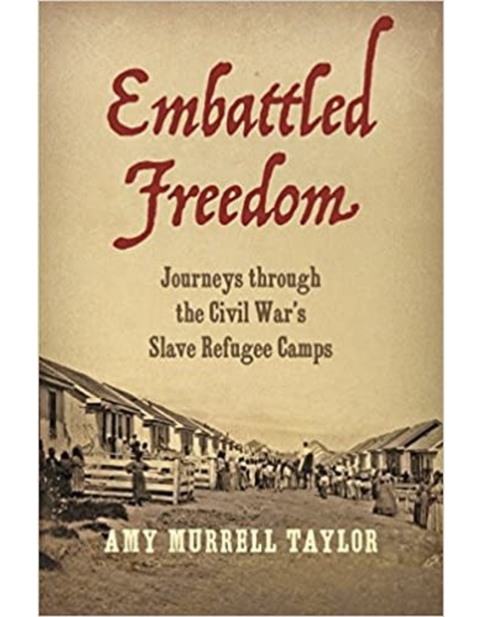 Non-Fiction: Civil War & Reconstruction Embattled Freedom