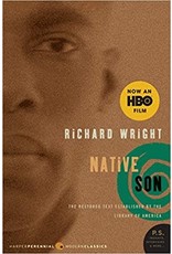 Fiction Native Son
