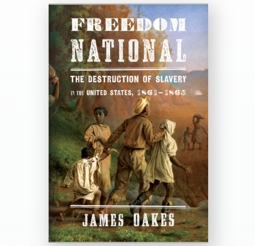 freedom-national-the-destruction-of-slavery-in-the-united-states