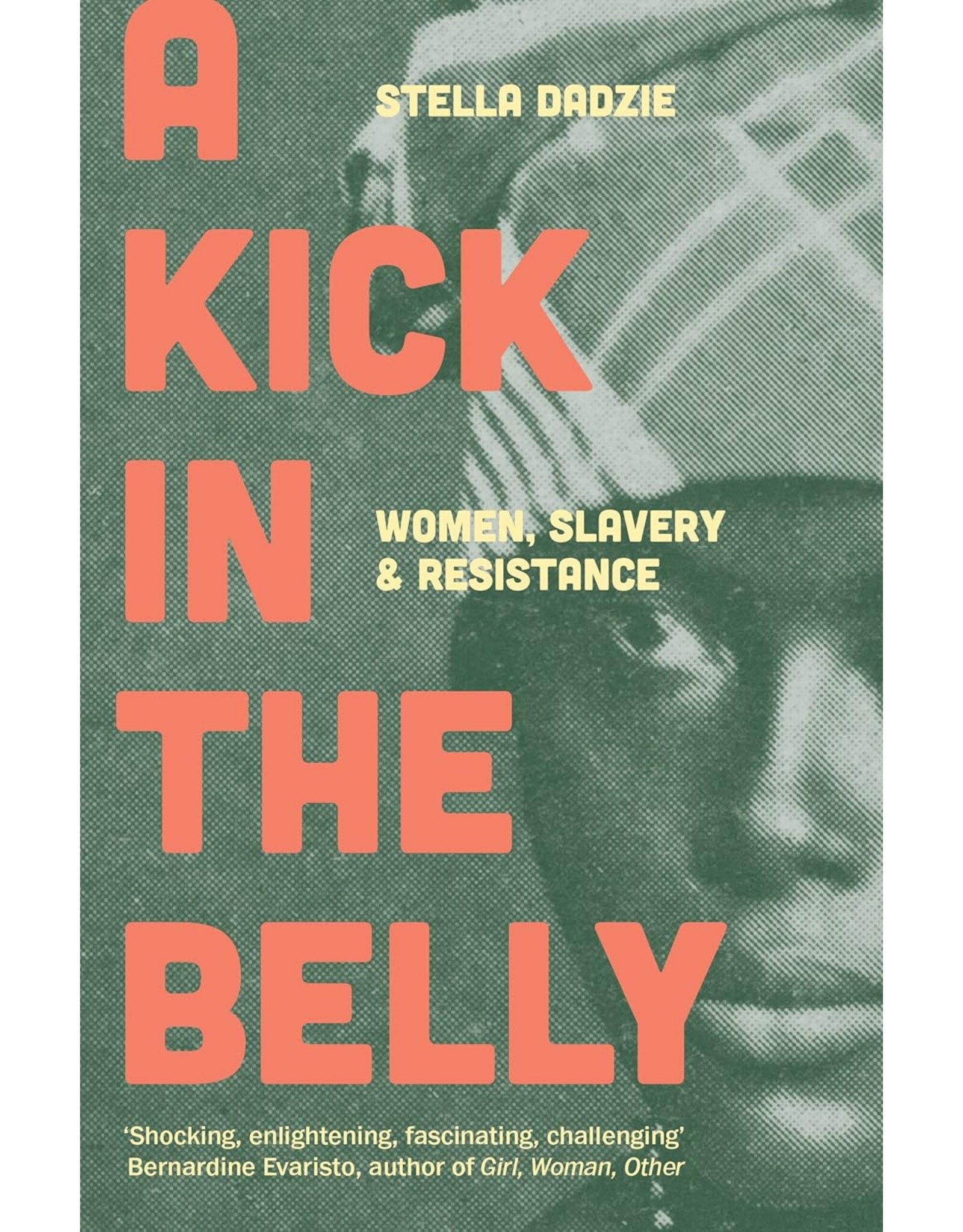 Non-Fiction: Resistance A Kick in the Belly: Women, Slavery, & Resistance