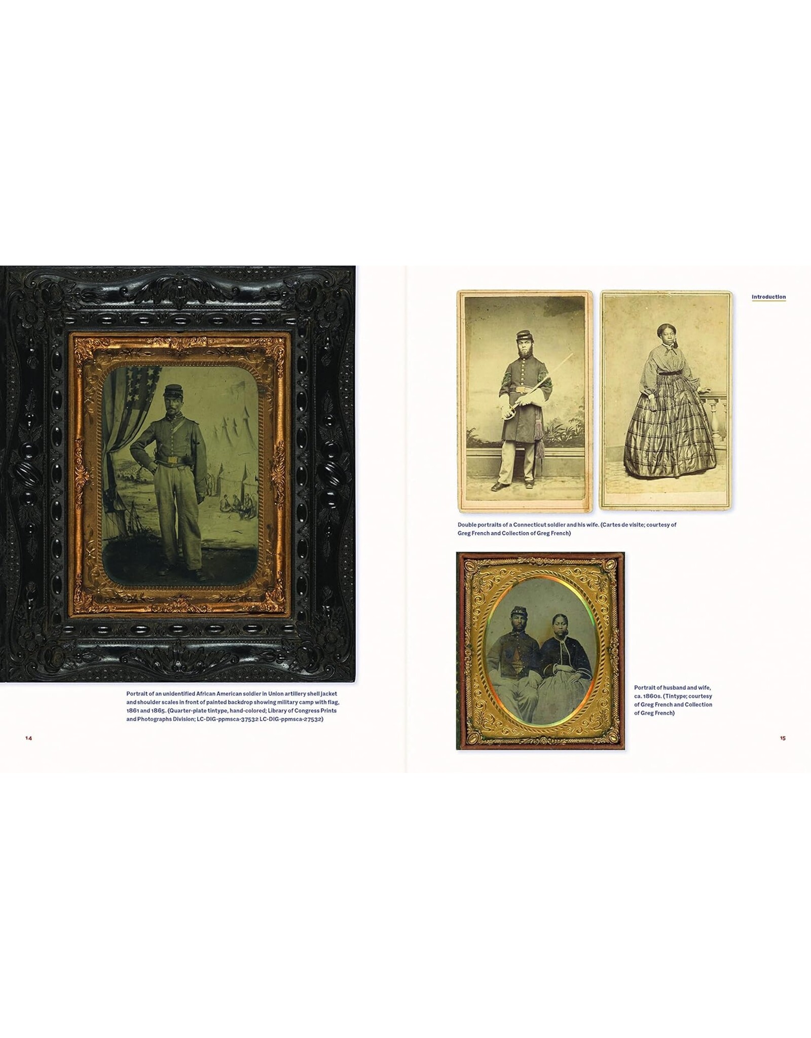 Non-Fiction: Civil War The Black Civil War Soldier: A Visual History of Conflict and Citizenship