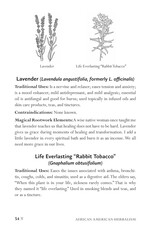 Spirituality & Healing African American Herbalism: A Practical Guide to Healing Plants and Folk Traditions