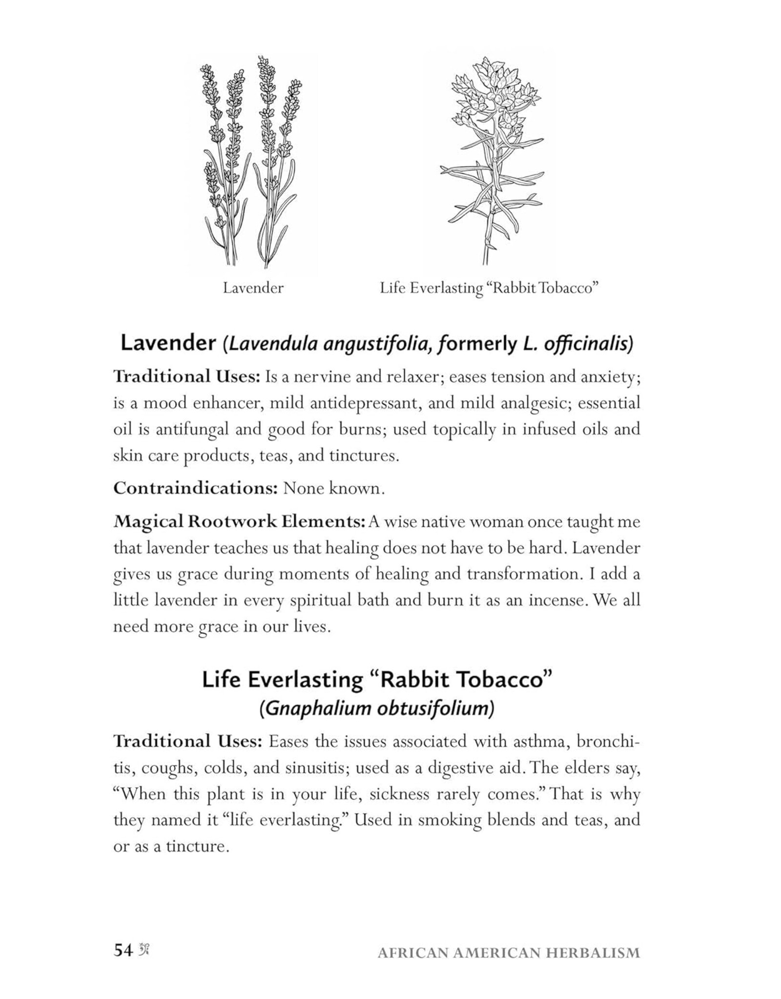 Spirituality & Healing African American Herbalism: A Practical Guide to Healing Plants and Folk Traditions