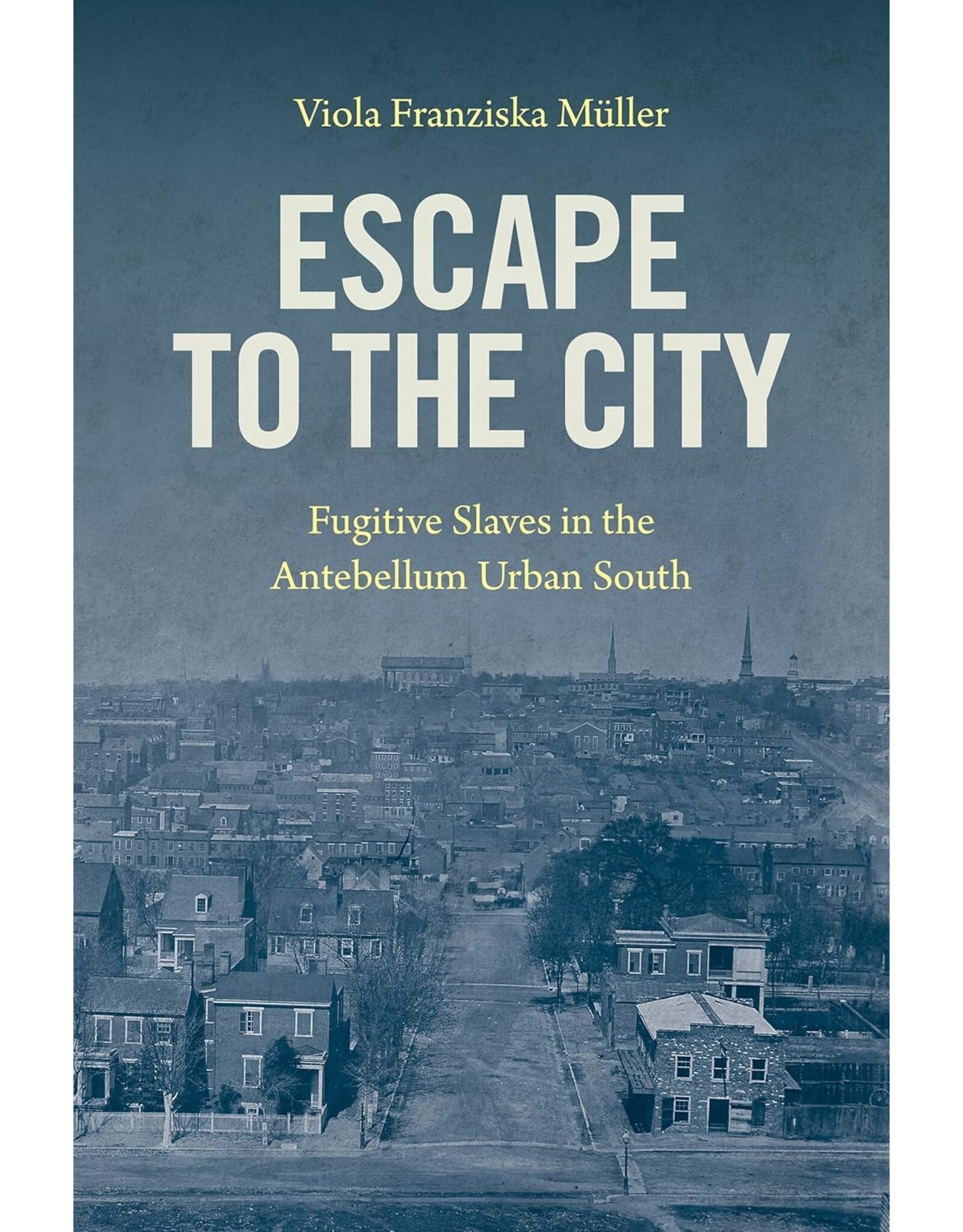 Non-Fiction: Resistance Escape To The City: Fugitive Slaves in the Antebellum Urban South