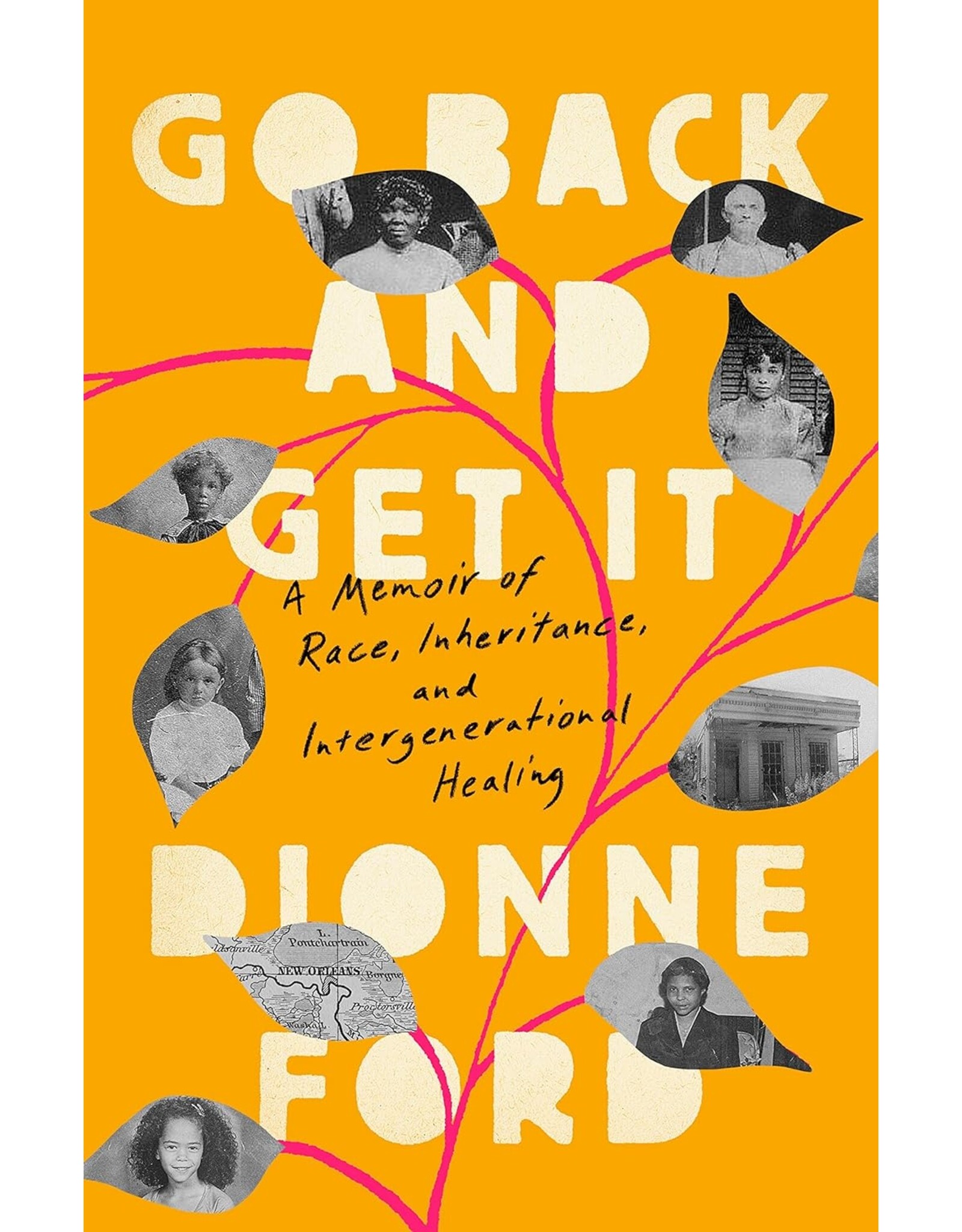 Spirituality & Healing Go Back and Get It: A Memoir of Race, Inheritance, and Intergenerational Healing