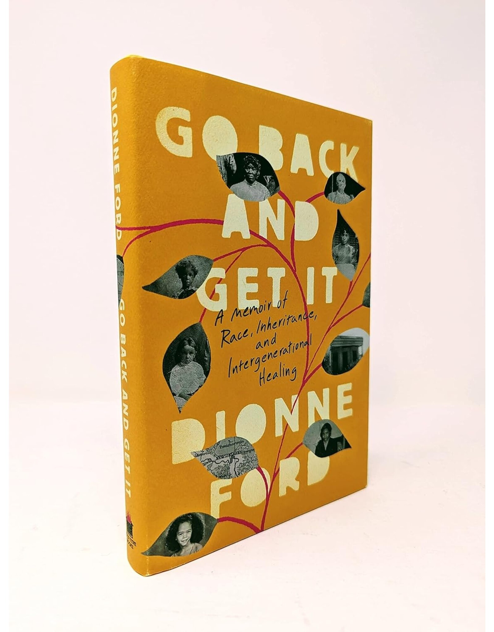 Spirituality & Healing Go Back and Get It: A Memoir of Race, Inheritance, and Intergenerational Healing