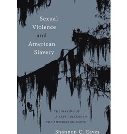Sexual Violence and American Slavery