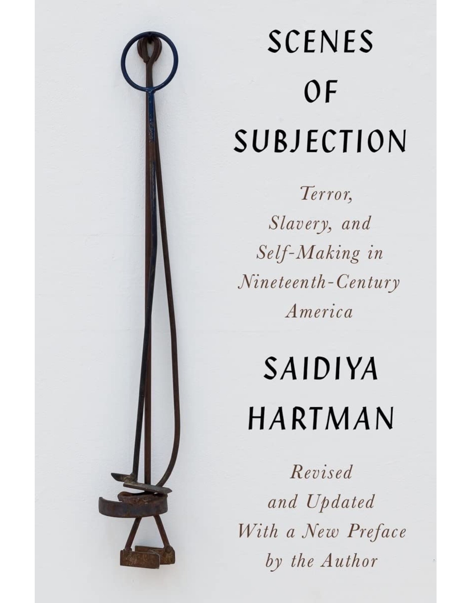 Scenes of Subjection: Terror, Slavery, and Self-Making in Nineteenth-Century America