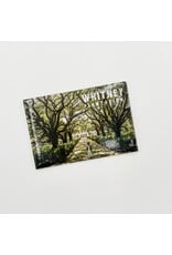 Whitney Magnet Made in USA