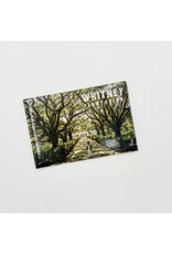 Whitney Magnet