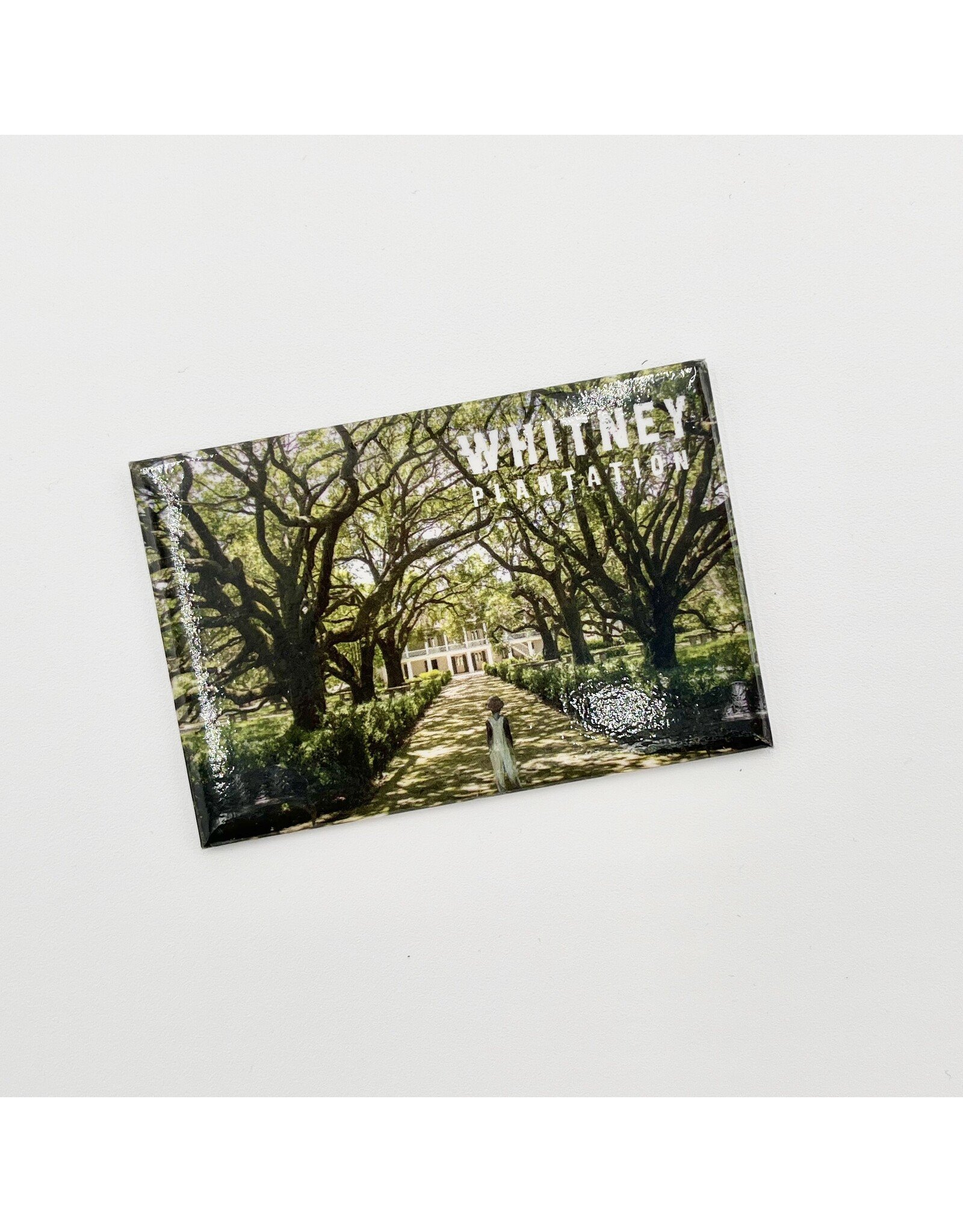 Whitney Magnet Made in USA