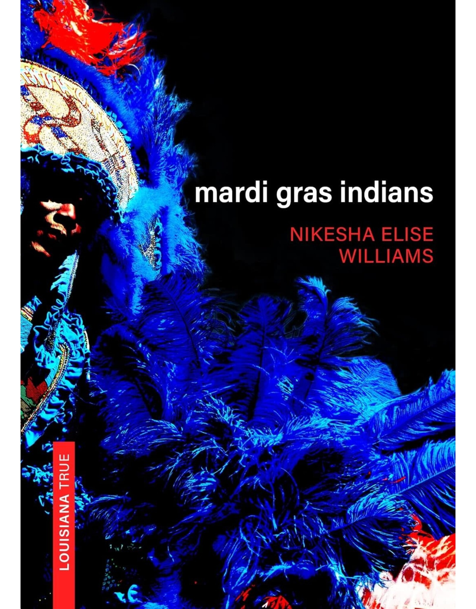 African History & Culture Mardi Gras Indians