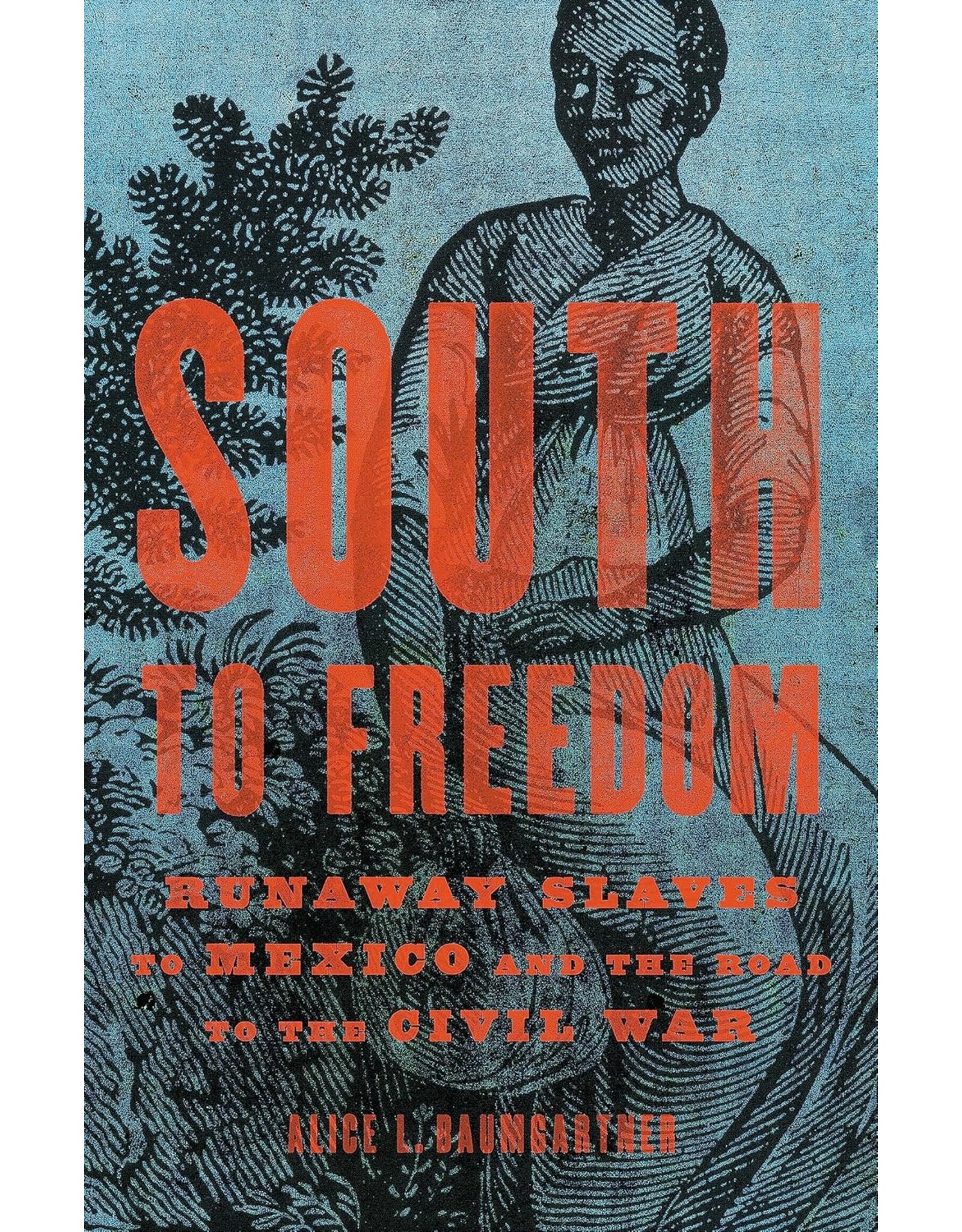 Non-Fiction: Slavery South to Freedom: Runaway Slaves to Mexico and the Road to the Civil War