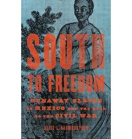 Non-Fiction: Slavery South to Freedom