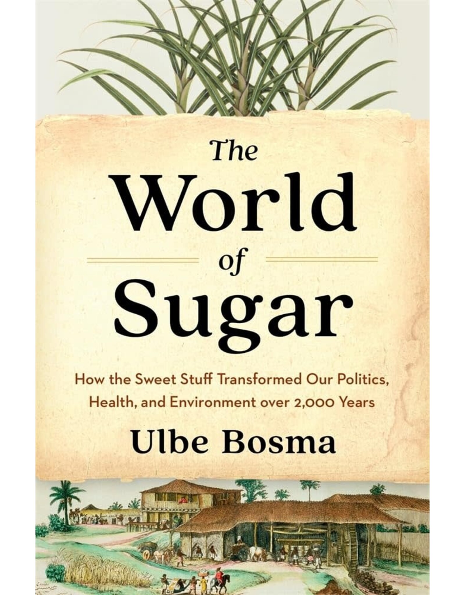 Non-Fiction: Slavery The World of Sugar: How the Sweet Stuff Transformed Our Politics, Health, and Environment over 2,000 Years