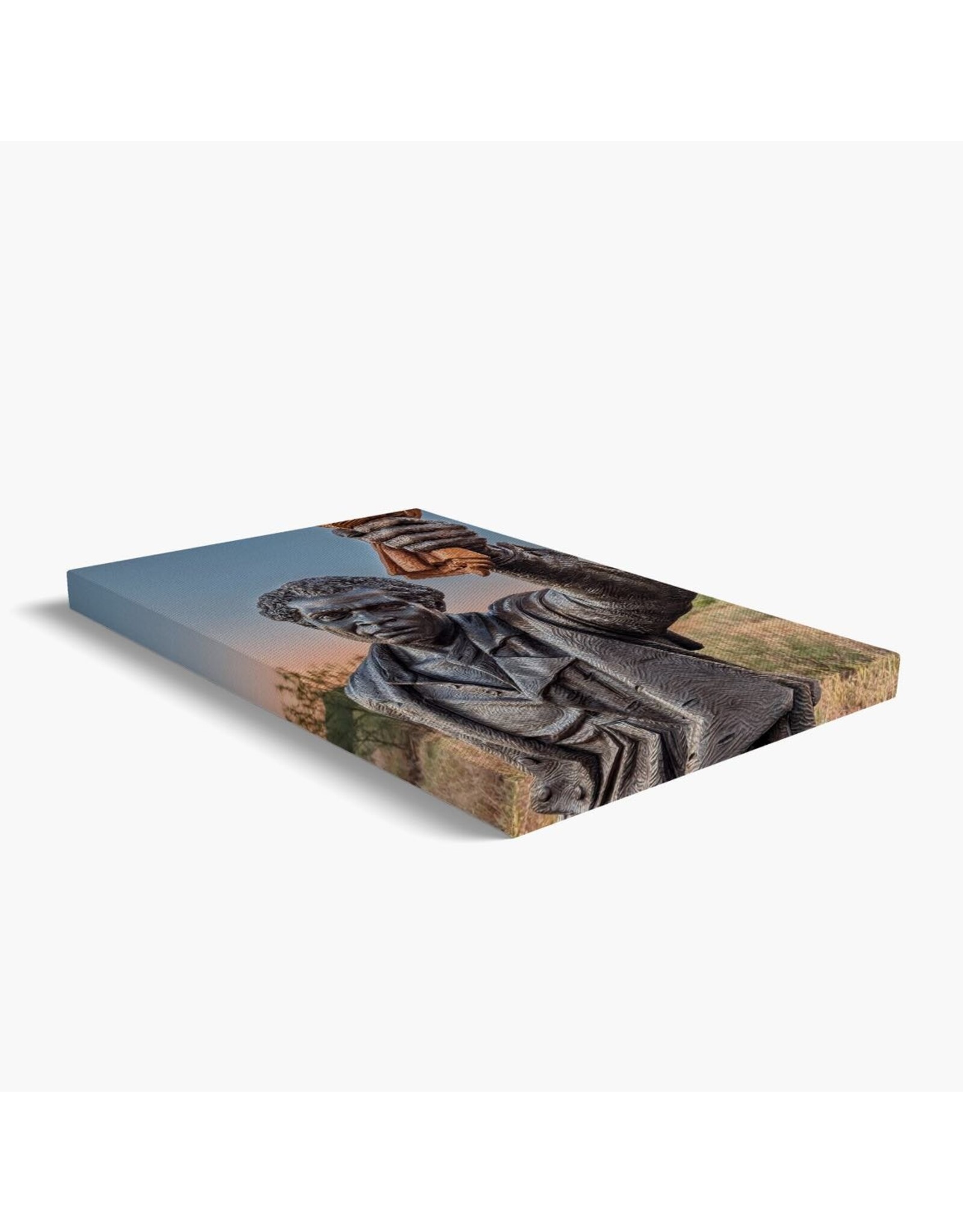 Solomon Northup Canvas Print