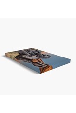 Solomon Northup Canvas Print