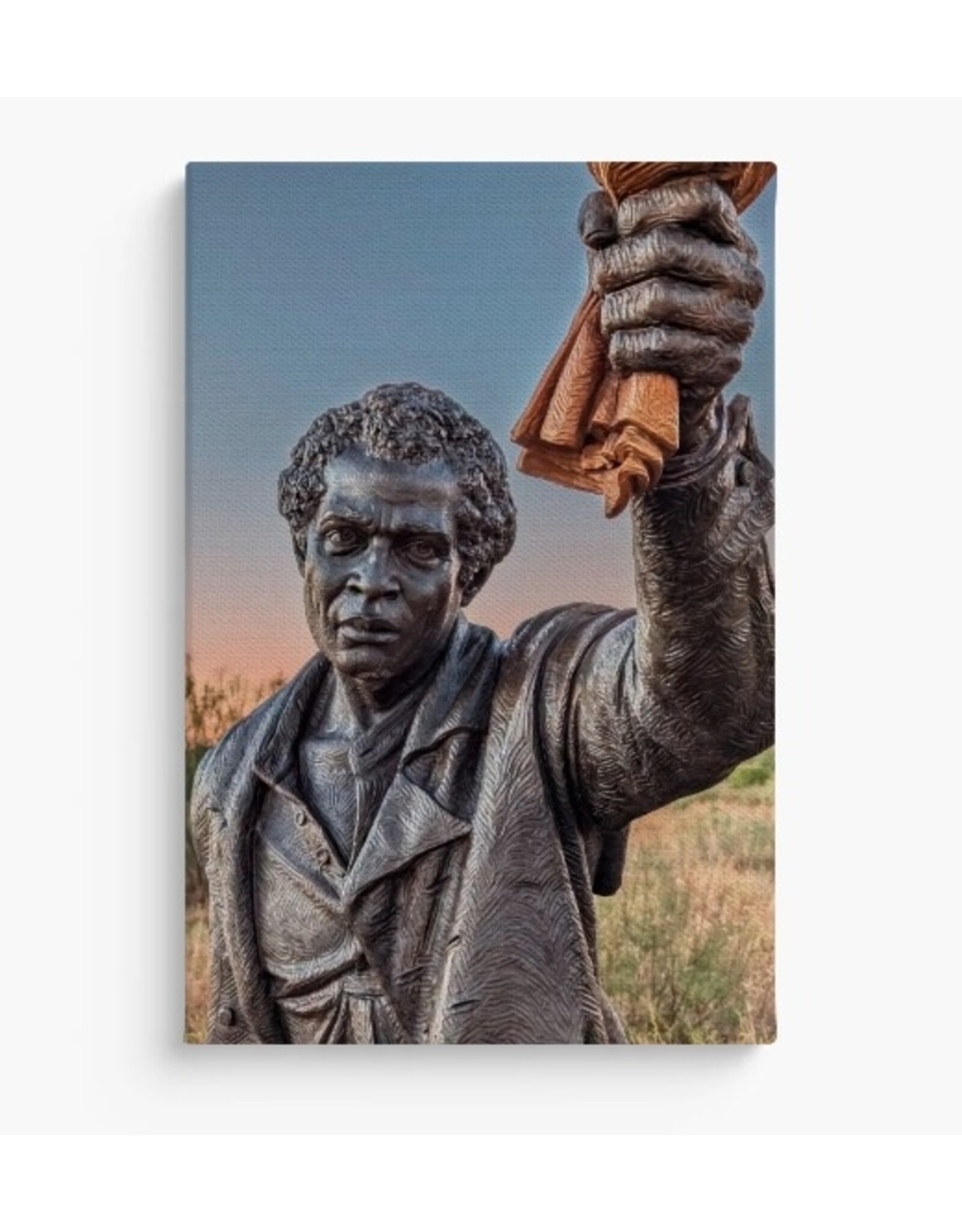 Solomon Northup Canvas Print