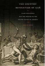 The Counter-Revolution of 1776: Slave Resistance and the Origins of the United States of America