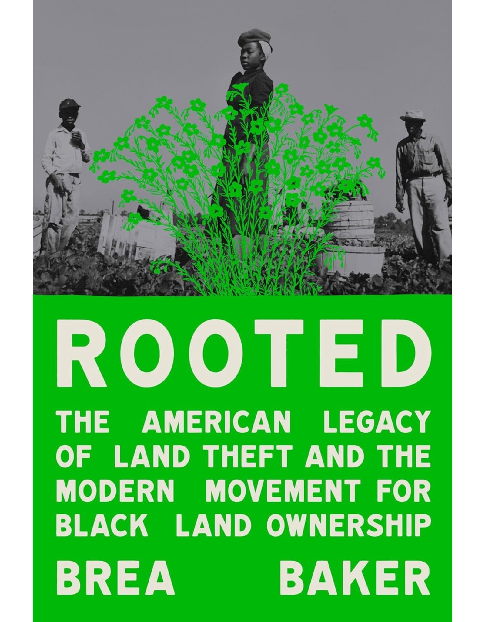Rooted: The American Legacy of Land Theft and the Modern Movement for Black Land Ownership