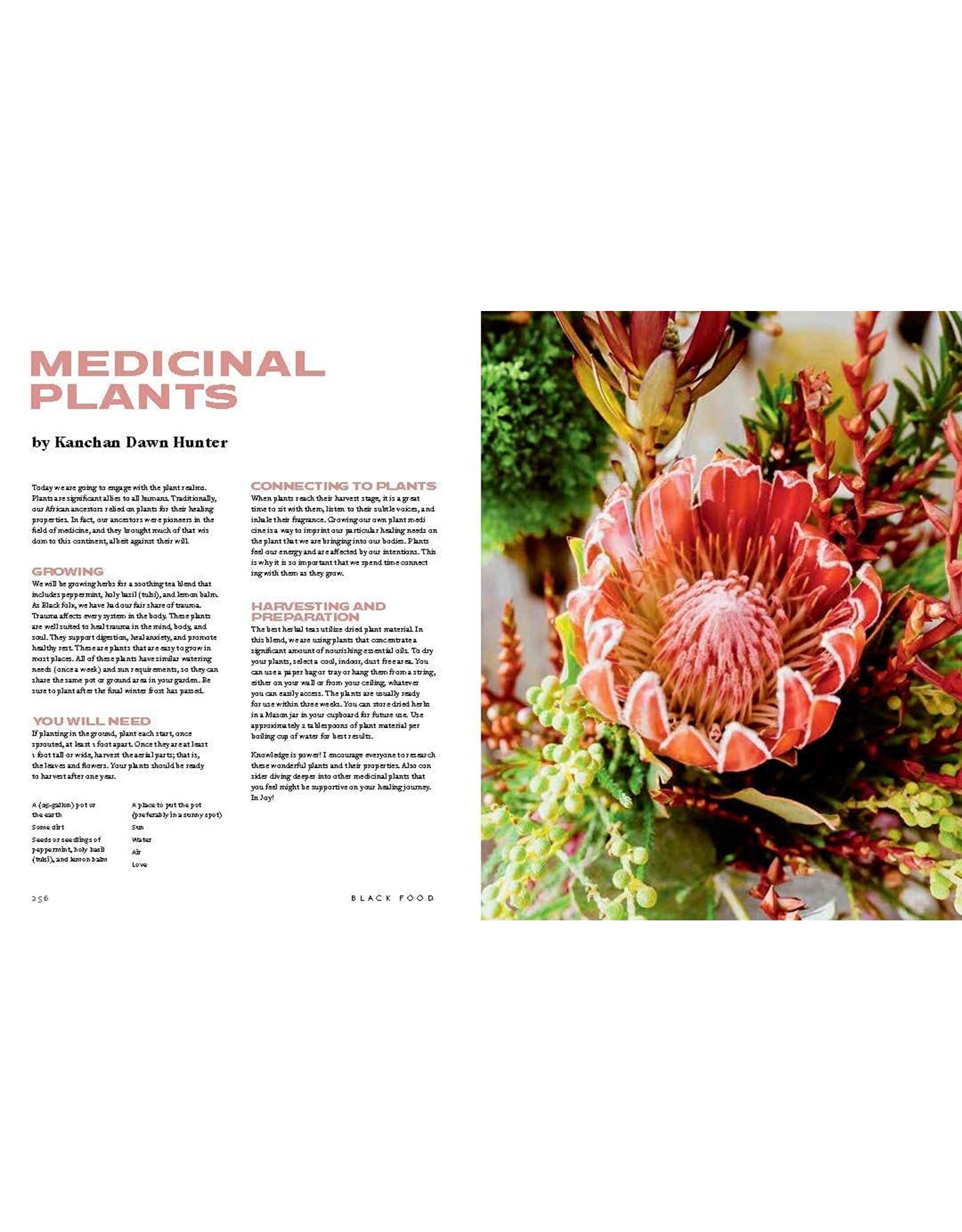 Cookbooks & Culinary History Black Food: Stories, Art, and Recipes from Across the African Diaspora