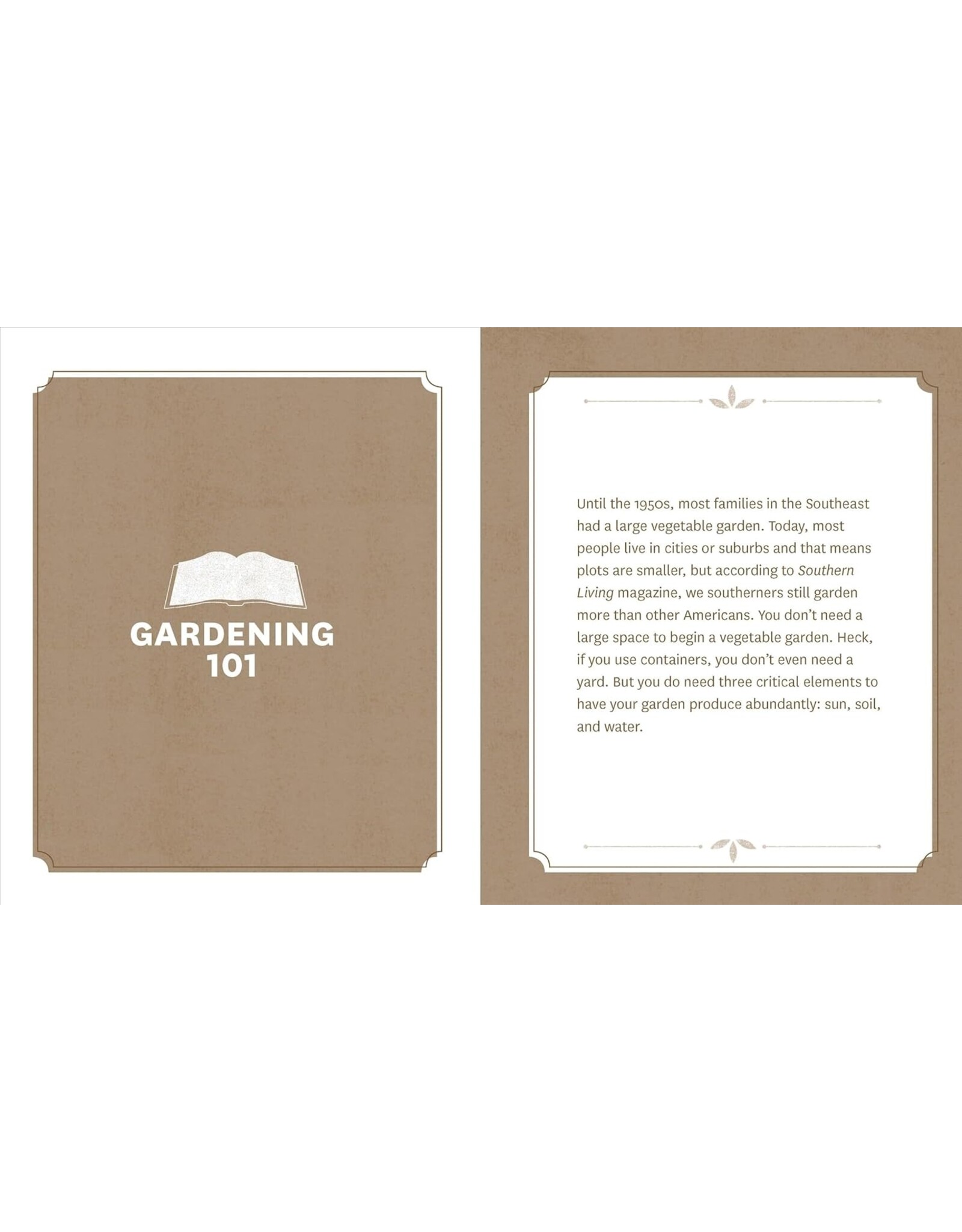 Guide to Vegetable Gardening in the Southeast