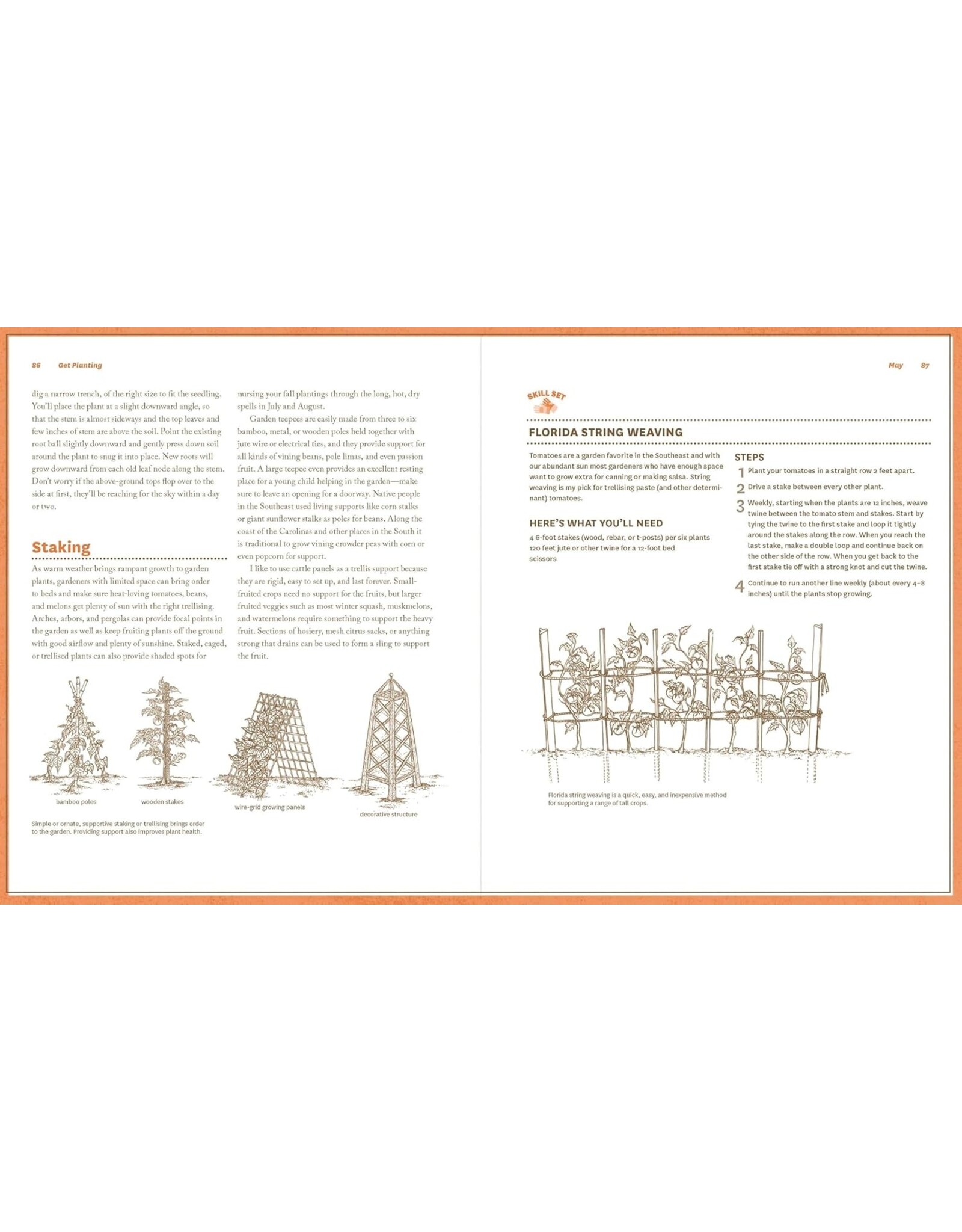 Guide to Vegetable Gardening in the Southeast