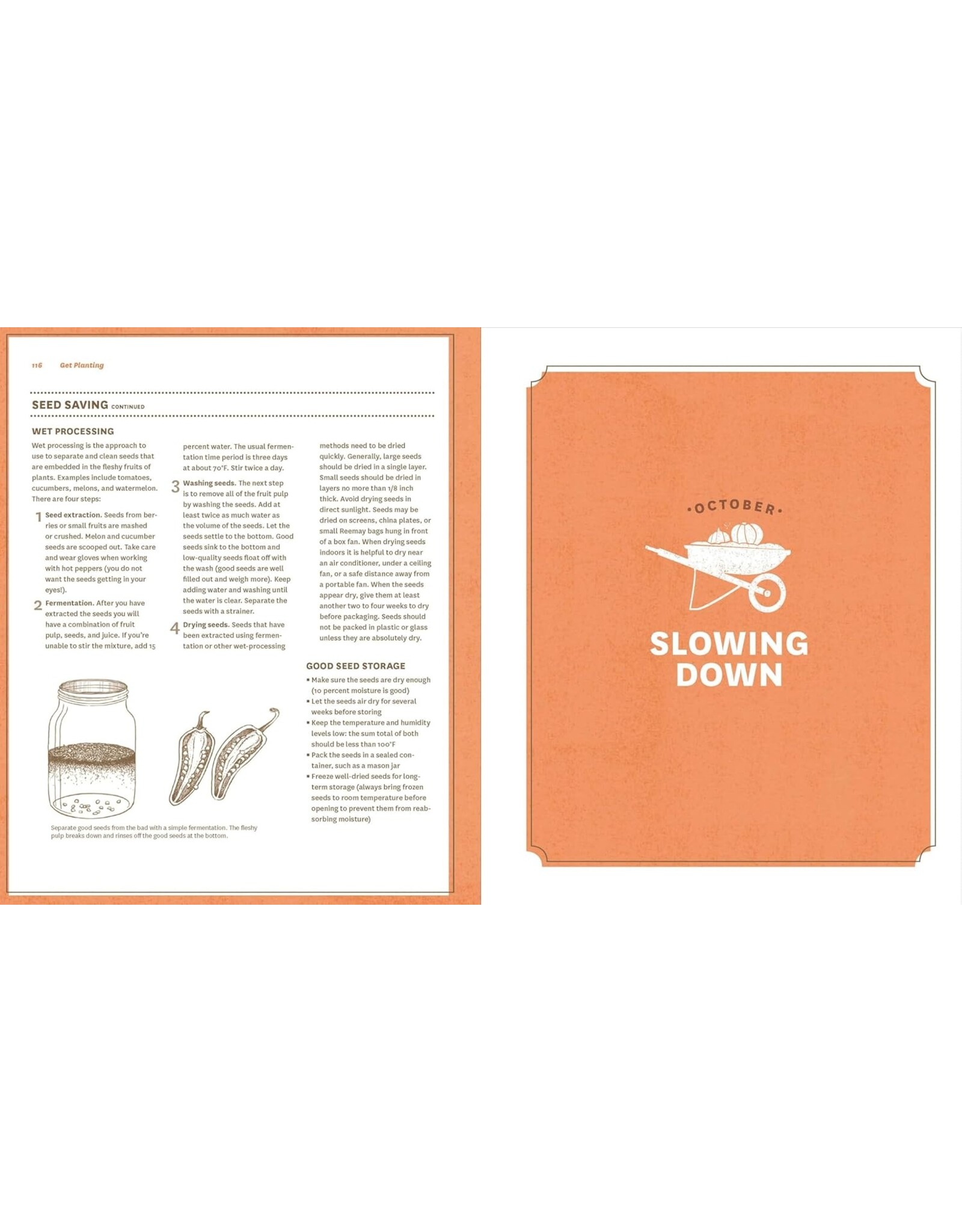 Guide to Vegetable Gardening in the Southeast