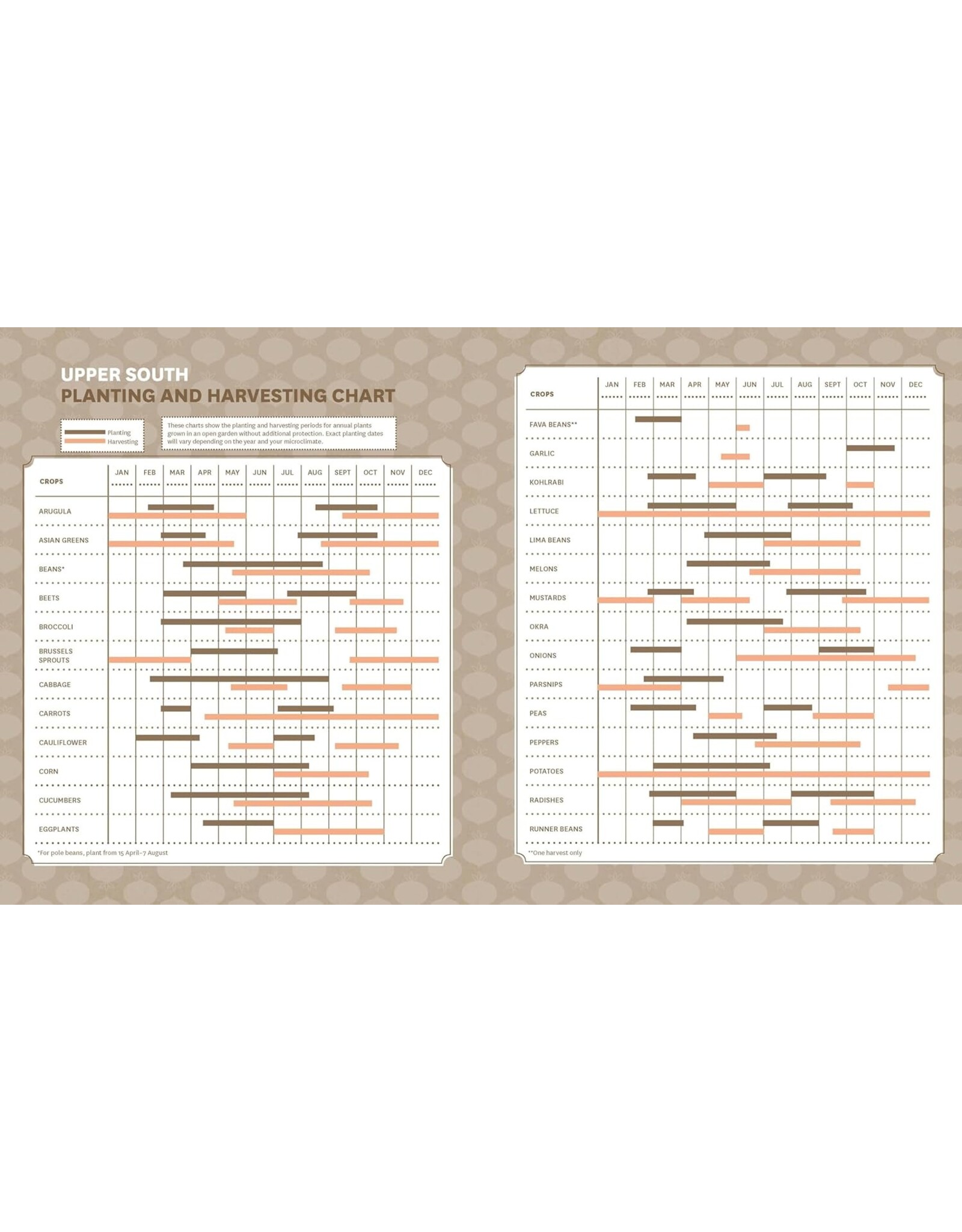 Guide to Vegetable Gardening in the Southeast