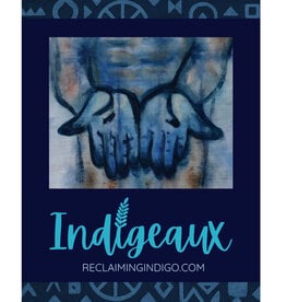 INDIGEAUX Poster
