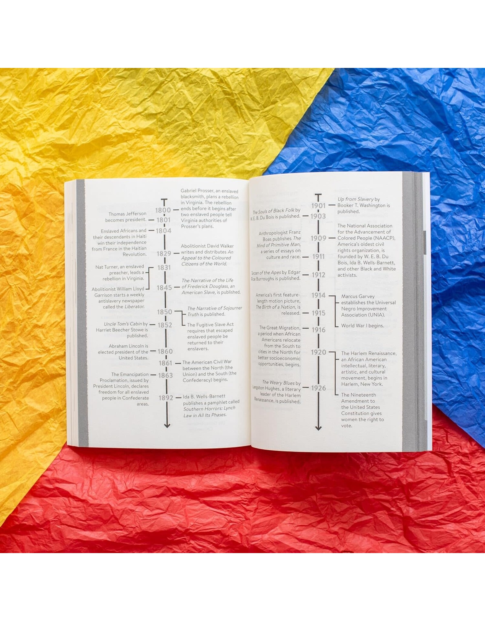 Kids: Chapter Books Stamped (For Kids): Racism, Antiracism and You