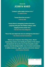 On Witness and Respair: Essays