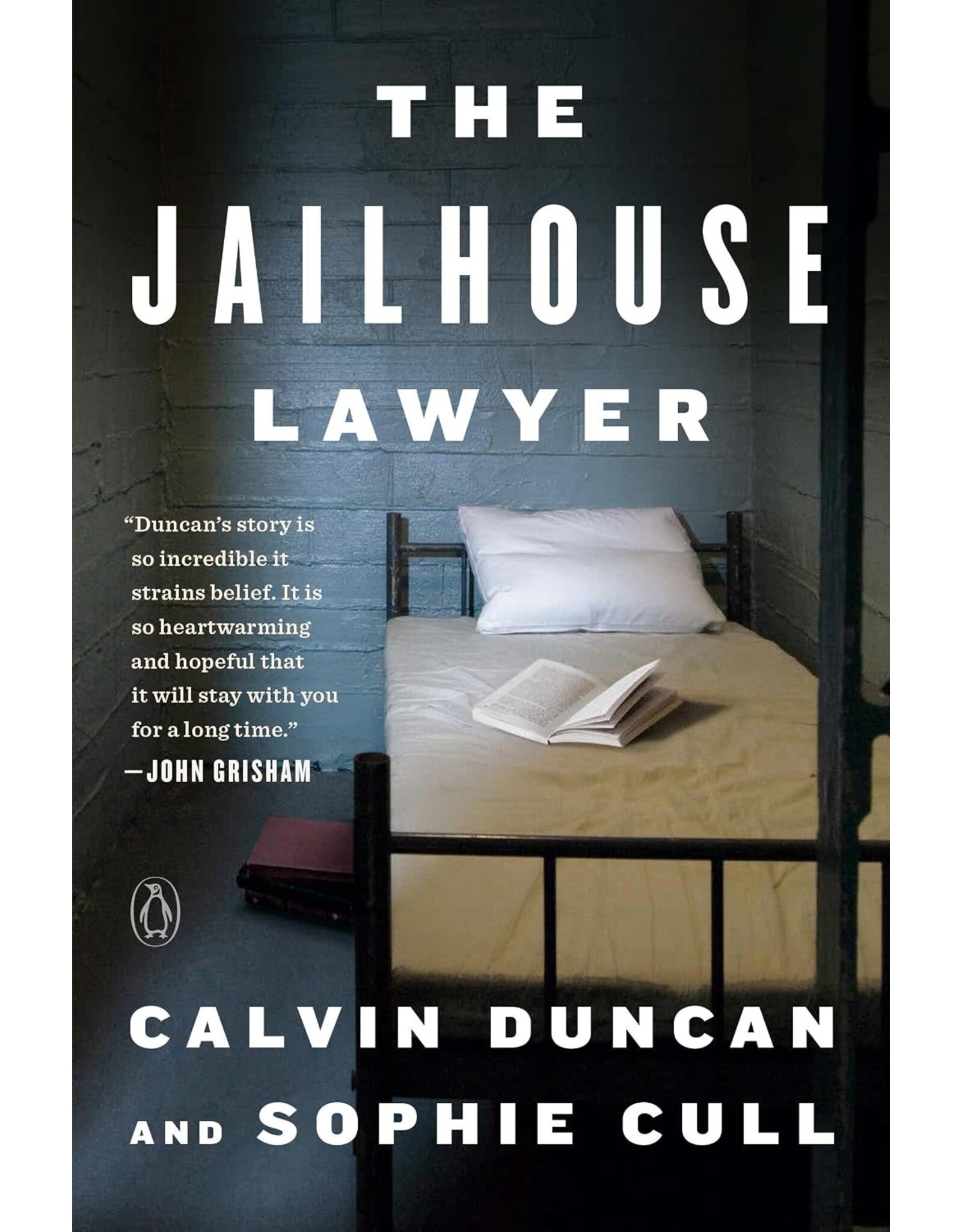 The Jailhouse Lawyer